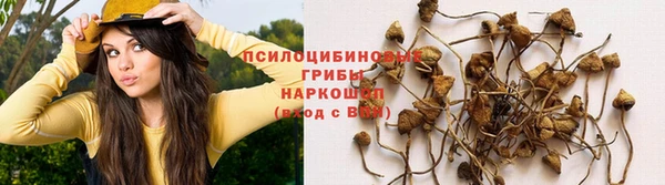 Альфа ПВП Слюдянка