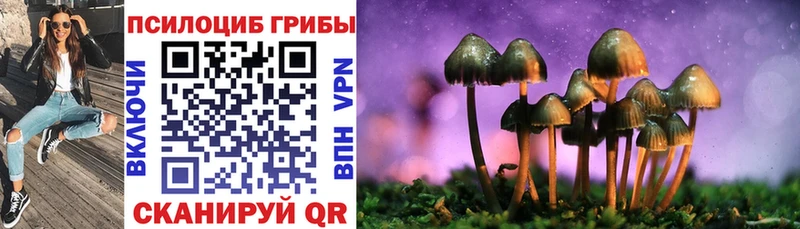 Галлюциногенные грибы MAGIC MUSHROOMS  Верея 