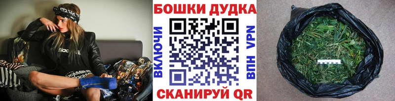 Бошки Шишки планчик Верея